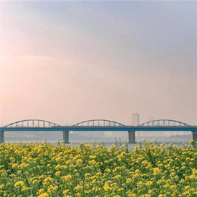 盾构始发、结构封顶 上海市域铁路嘉闵线新进展